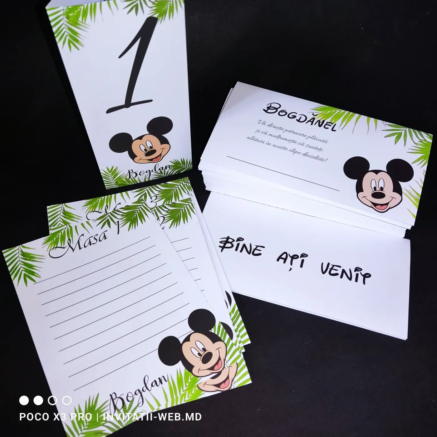 Set Listă & Număr – Mikey Mouse in junglă